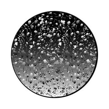 ROSCO GOBO VIDRIO 82750 Organic Bubbles, Blanco yNegro