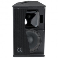 AUDIOPHONY, S10, Monitor pasivo 10" de 250WRMS, color negro