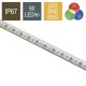 CONTEST COLORTAPE6067 - Tira de LED RGB 60 LED/m 24V, 5m- IP67