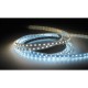 CONTEST PURETAPE6067-WARM, Tira LED 60 LED/m 5 mBLANCO CALIDO 3000º