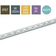 CONTEST PURETAPE6067-COLD, Tira 60 LED/m 5 m, BLANCO FRIO 6000ºK