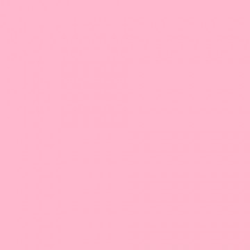 E-COLOUR 035LIGHT PINK Hoja de 1.22 x 0.53 m ROSCO