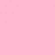 E-COLOUR 035LIGHT PINK Hoja de 1.22 x 0.53 m ROSCO