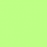 E-COLOUR 088 LIME GREEN Hoja de 1.22 x 0.53 m ROSCO
