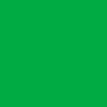E-COLOUR 124 DARK GREEN Hoja de 1.22 x 0.53 m ROSCO