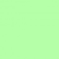 E-COLOUR 138 PALE GREEN Hoja de 1.22 x 0.53 m ROSCO