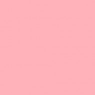 E-COLOUR 154 PALE ROSE Hoja de 1.22 x 0.53 m ROSCO