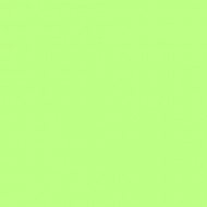 E-COLOUR 088 LIME GREEN Rollo de 7.62 m x 1.22 mts ROSCO