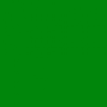 E-COLOUR 090 DARK YELLOW GREEN Rollo de 7.62 m x1.22 m ROSCO