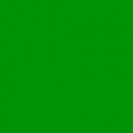 E-COLOUR 139 PRIMARY GREEN. Rollo de 7.62 m x 1.22 m ROSCO