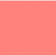 SUPERGEL 031 SALMON PINK Hoja de 61 x 50 cm. ROSCO