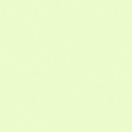 E-COLOUR 189 COSMETIC SILVER MOSS Hoja de 1.22 x 0.53 m ROSCO