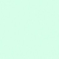 E-COLOUR 190 COSMETIC EMERALD Hoja de 1.22 x 0.53m ROSCO