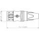 CONECTOR ETHERCOM CABLE CAT-6 Neutrik