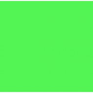 SUPERGEL 89 MOSS GREEN, Hoja de 61 x 50 cm ROSCO
