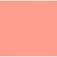 SUPERGEL 331 SHELL PINK, Hoja de 61 x 50 cm. ROSCO