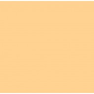 E-COLOUR 205 HALF CT ORANGE 1,22x7,62 m. ROLLO