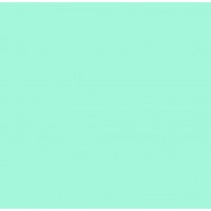 E-COLOUR 730 LIBERTY GREEN. Rollo de 7.62 m x 1.22 m ROSCO