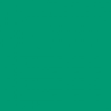 E-COLOUR 5454 OLYMPIA GREEN Rollo de 1.22 m x 7.62 ROSCO