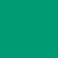 E-COLOUR 5454 OLYMPIA GREEN Rollo de 1.22 m x 7.62 ROSCO