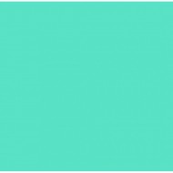 E-COLOUR 242 FLUORESCENT 4300º K 1,22X0,53