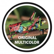 F. GOBO VIDRIO ORIGINAL TG1 (37-23 mm) MULTICOLOR