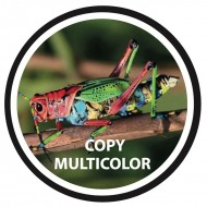 F. GOBO VIDRIO COPIA TG1 (37-23 mm) MULTICOLOR