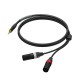 PROCAB Cable 1 Jack stereo 3.5mm a 2 XLR macho Neutrik 1,5 mts