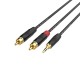 FactorFLEX Cable señal 3 m 2 RCA a 1 mini Jack 35 conectores REAN