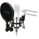 BEHRINGER SMP1000